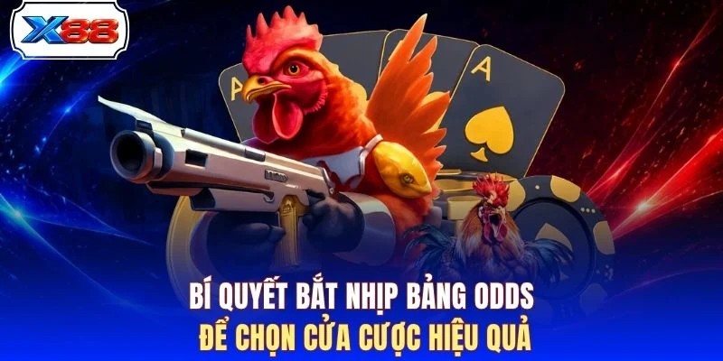 Bí quyết bắt nhịp bảng odds để chọn cửa cược hiệu quả