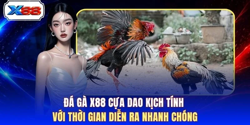 Đá gà X88 cựa dao kịch tính với thời gian diễn ra nhanh chóng