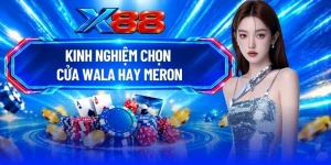Kinh Nghiệm Chọn Cửa Wala Hay Meron Với Tỷ Lệ Thắng 55%