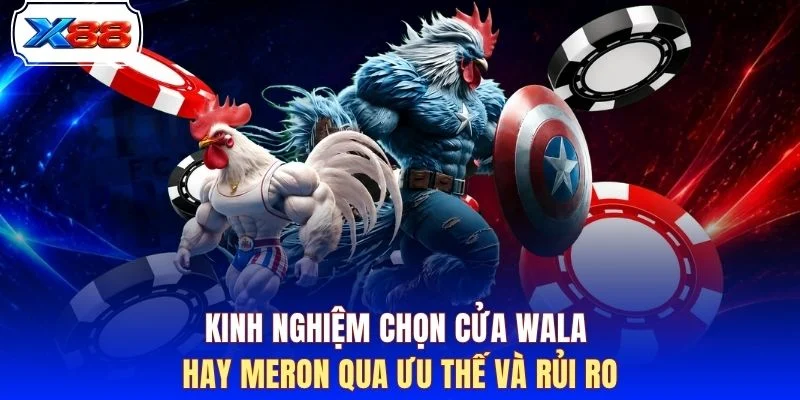 Kinh nghiệm chọn cửa Wala hay Meron qua ưu thế và rủi ro