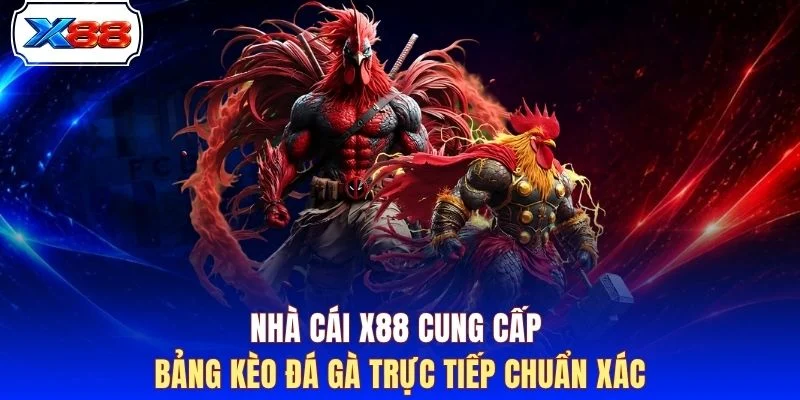 Nhà cái X88 cung cấp bảng kèo đá gà trực tiếp chuẩn xác